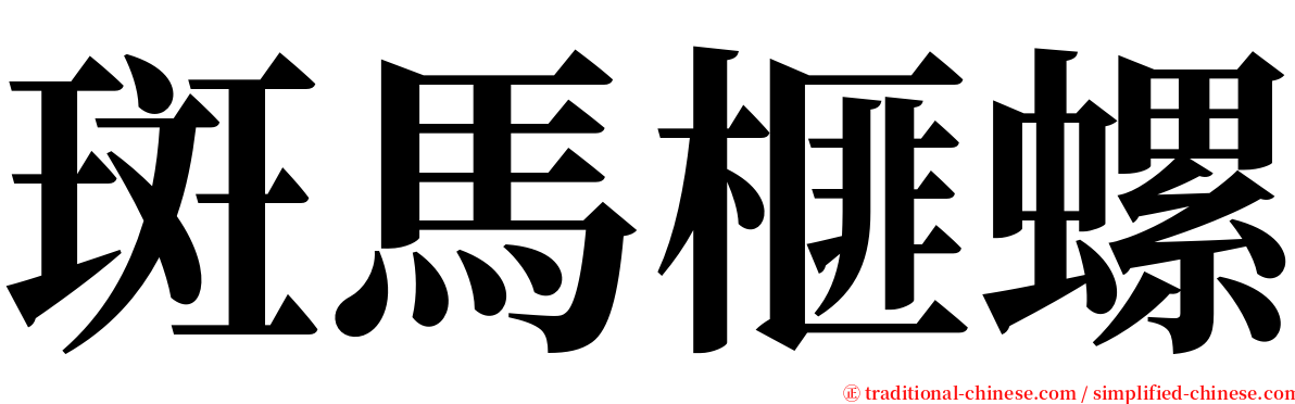 斑馬榧螺 serif font