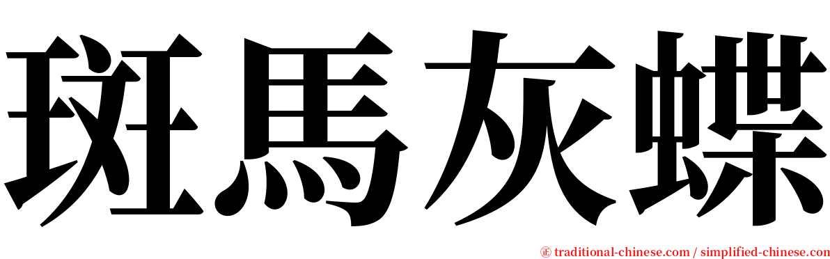 斑馬灰蝶 serif font