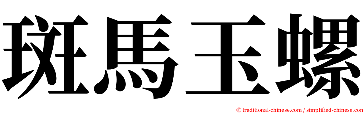 斑馬玉螺 serif font