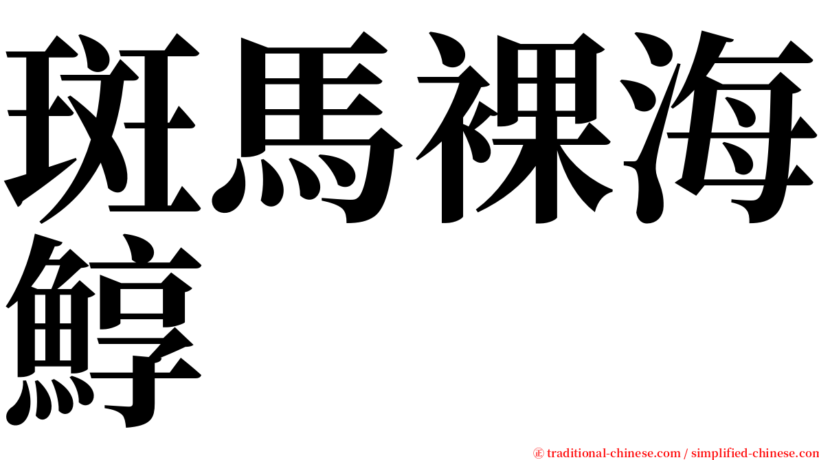 斑馬裸海鯙 serif font