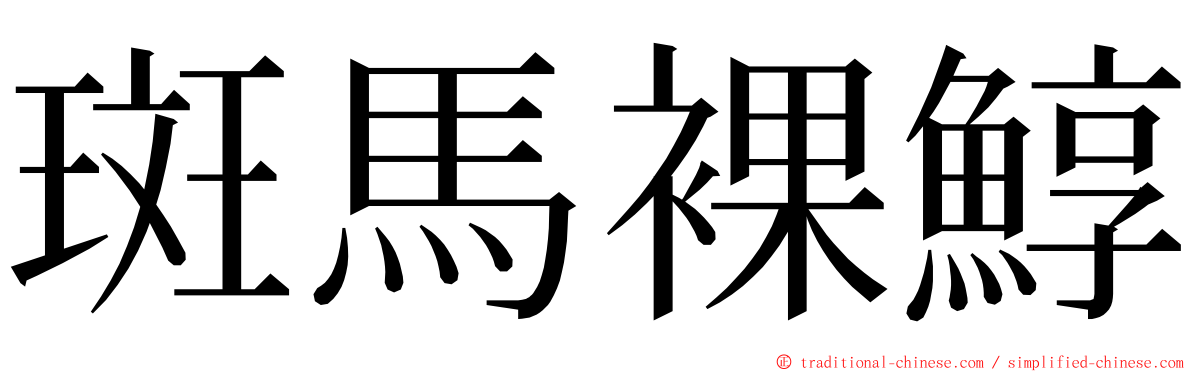 斑馬裸鯙 ming font