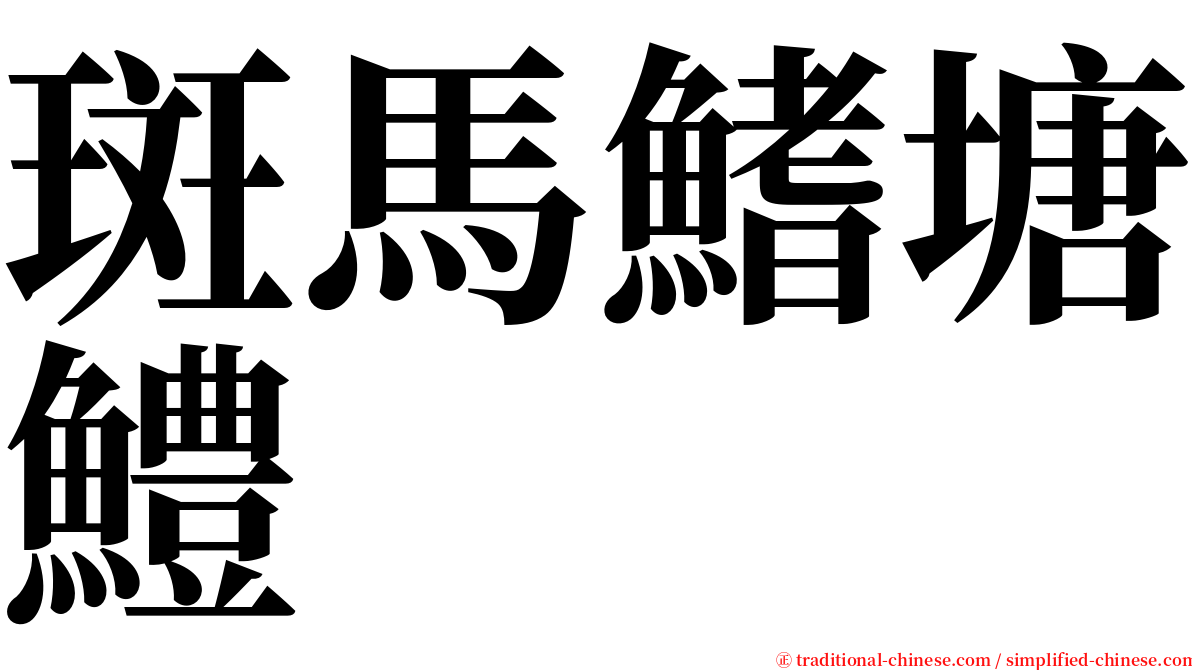 斑馬鰭塘鱧 serif font