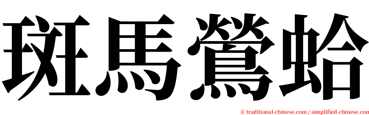 斑馬鶯蛤 serif font