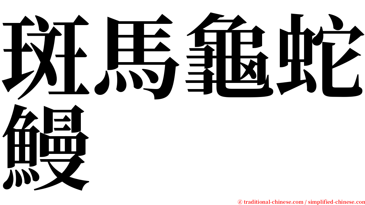 斑馬龜蛇鰻 serif font