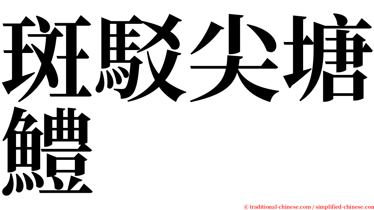 斑駁尖塘鱧 serif font