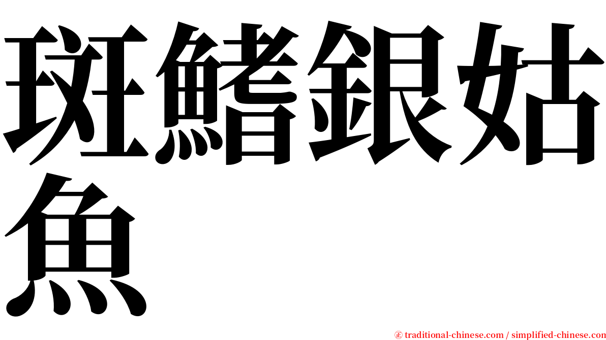 斑鰭銀姑魚 serif font