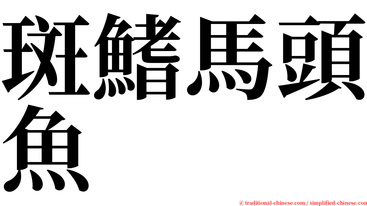 斑鰭馬頭魚 serif font