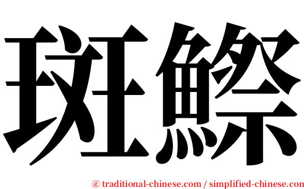 斑鰶 serif font