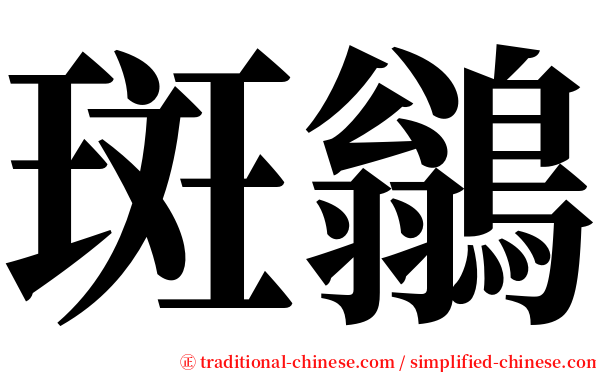 斑鶲 serif font