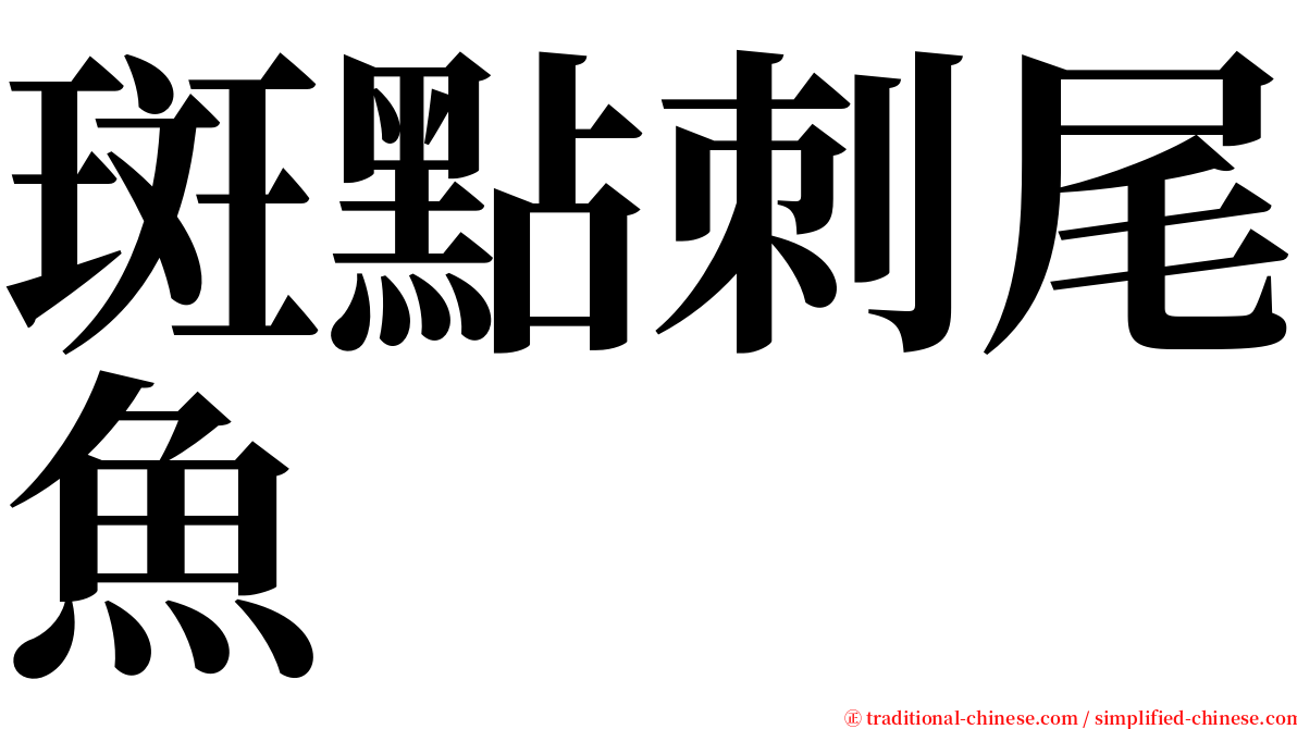 斑點刺尾魚 serif font