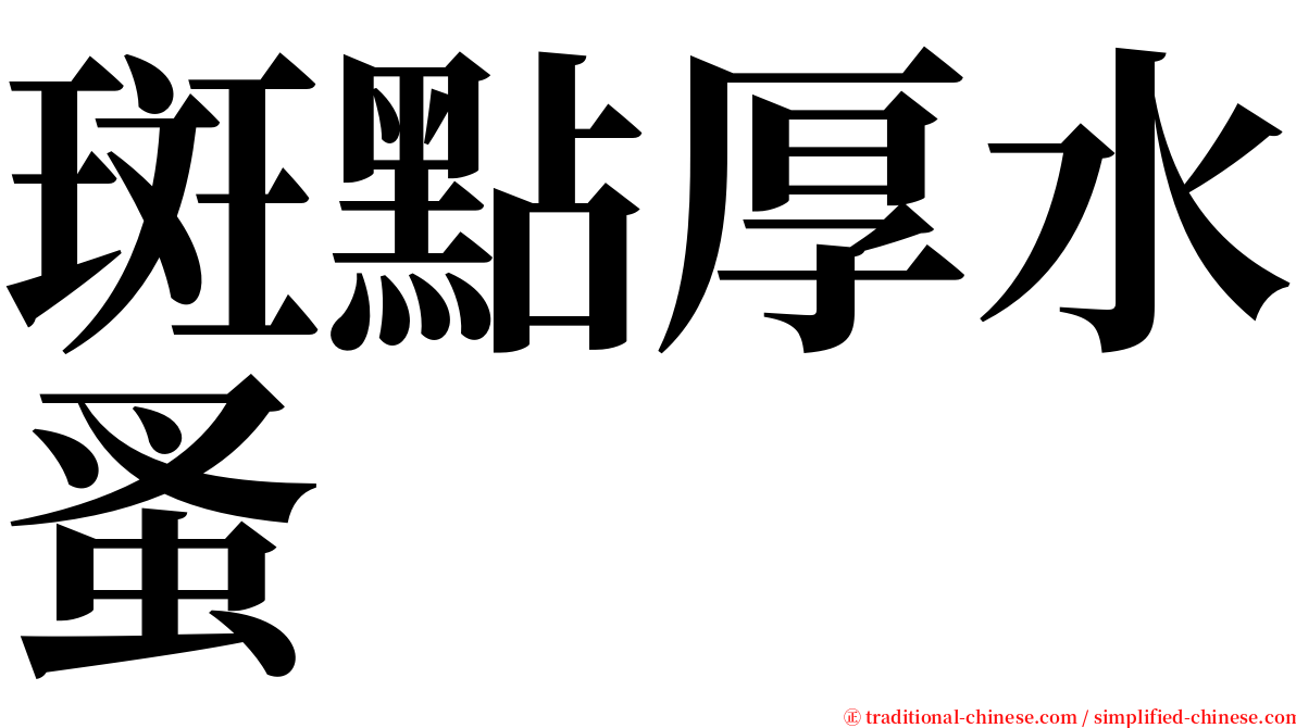 斑點厚水蚤 serif font