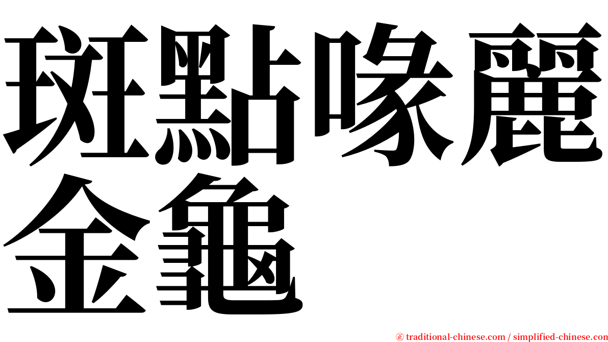 斑點喙麗金龜 serif font