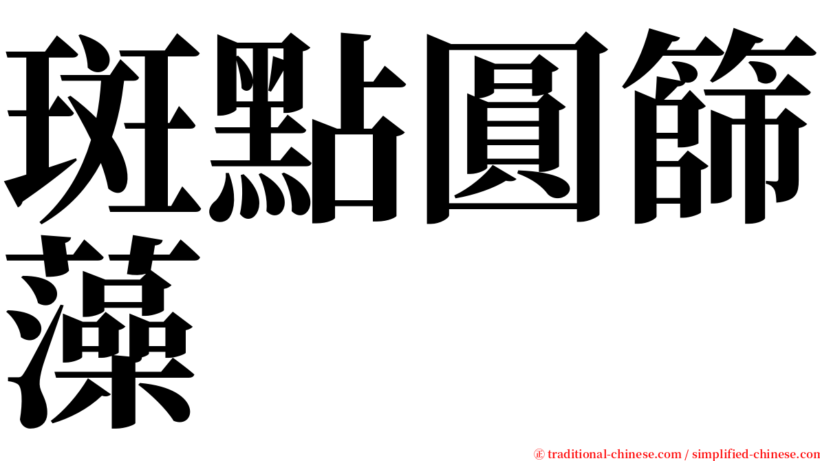 斑點圓篩藻 serif font