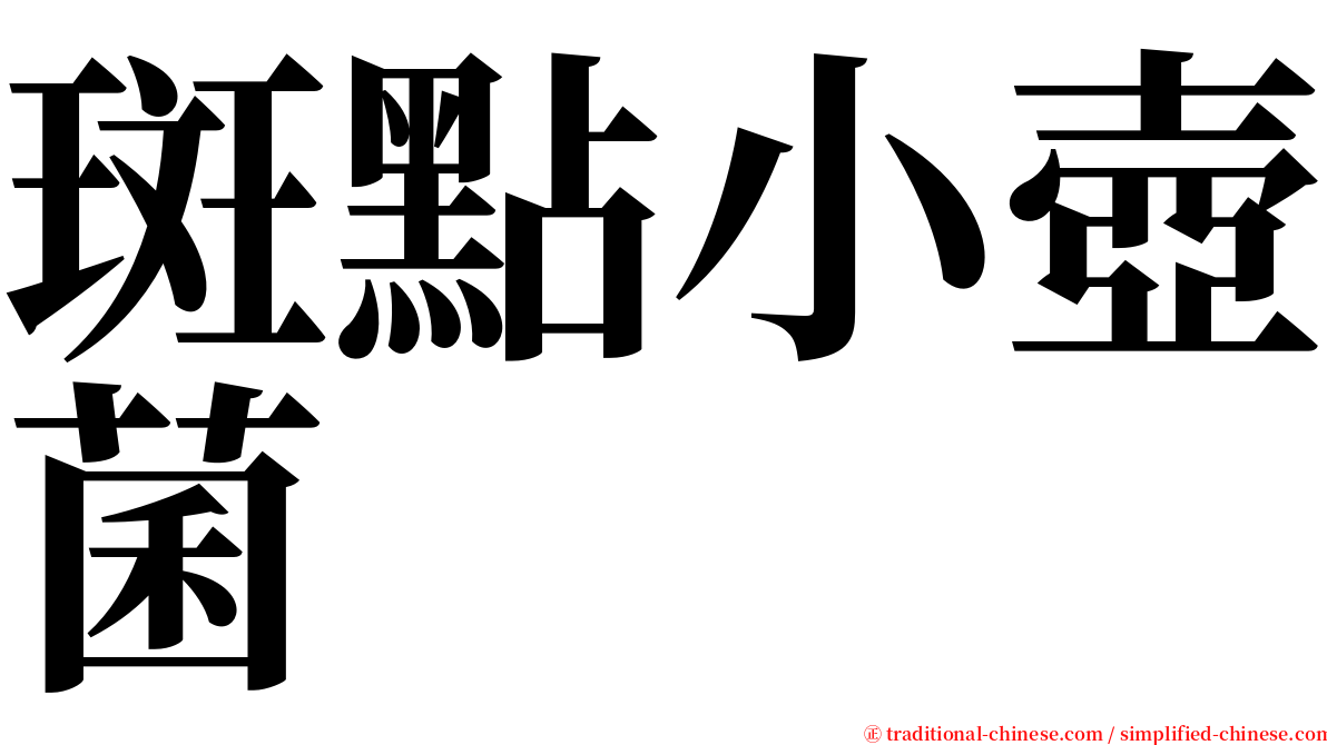 斑點小壺菌 serif font