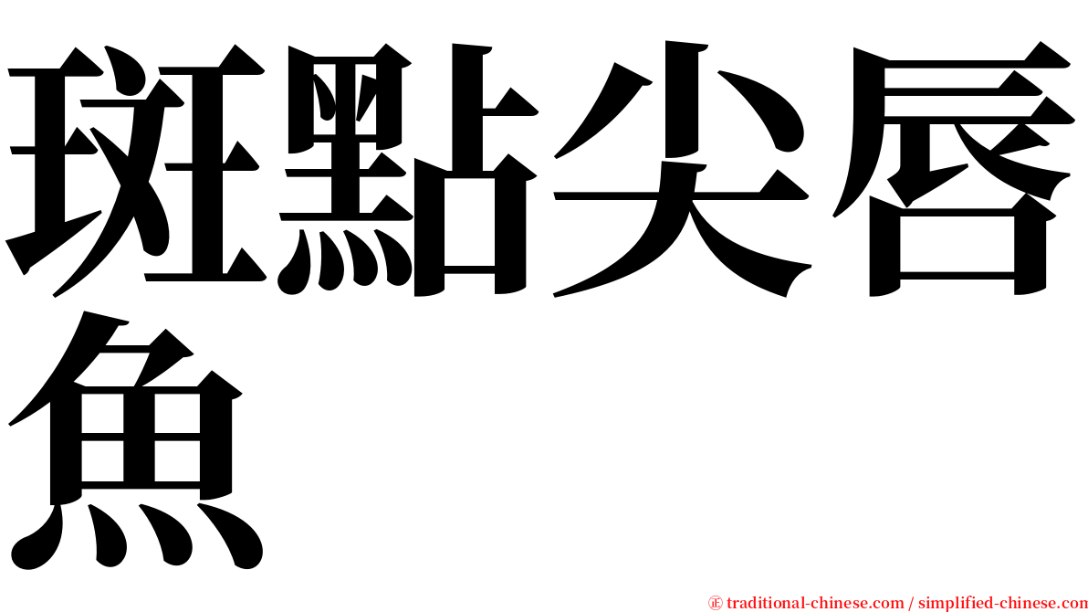 斑點尖唇魚 serif font