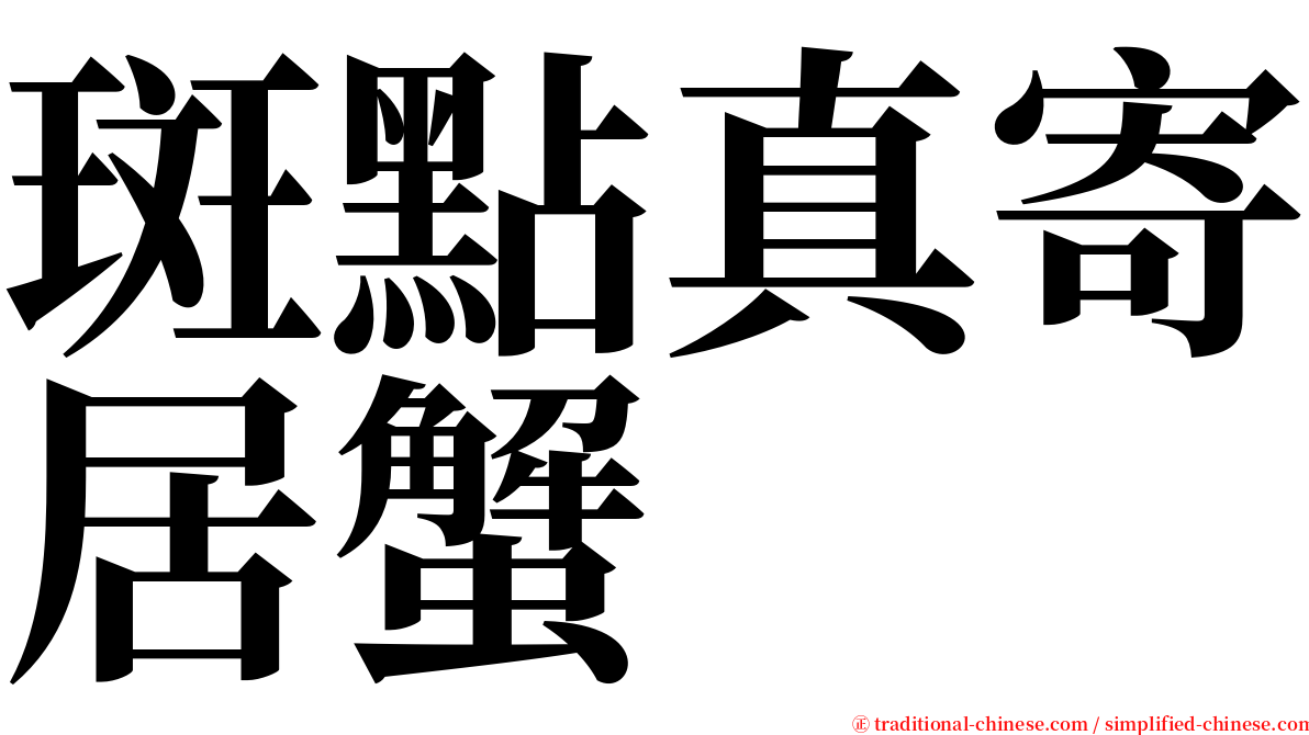 斑點真寄居蟹 serif font