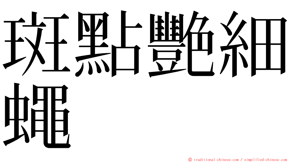 斑點艷細蠅 ming font