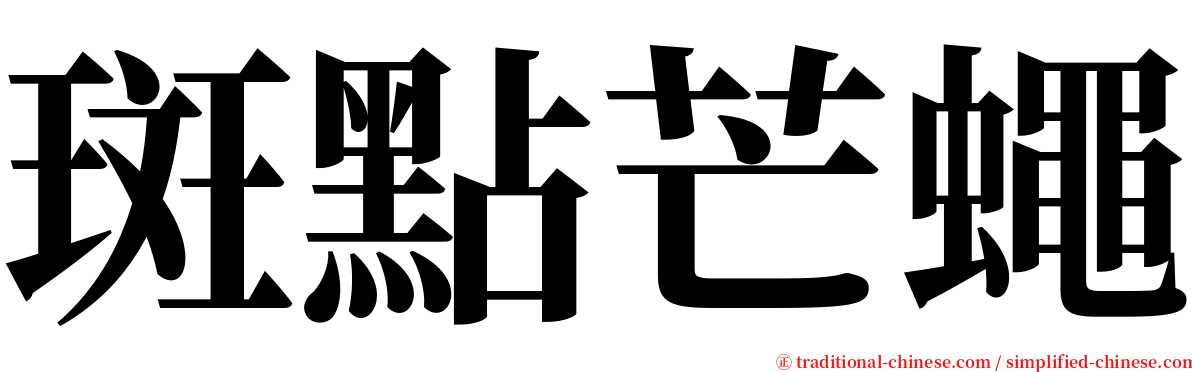 斑點芒蠅 serif font