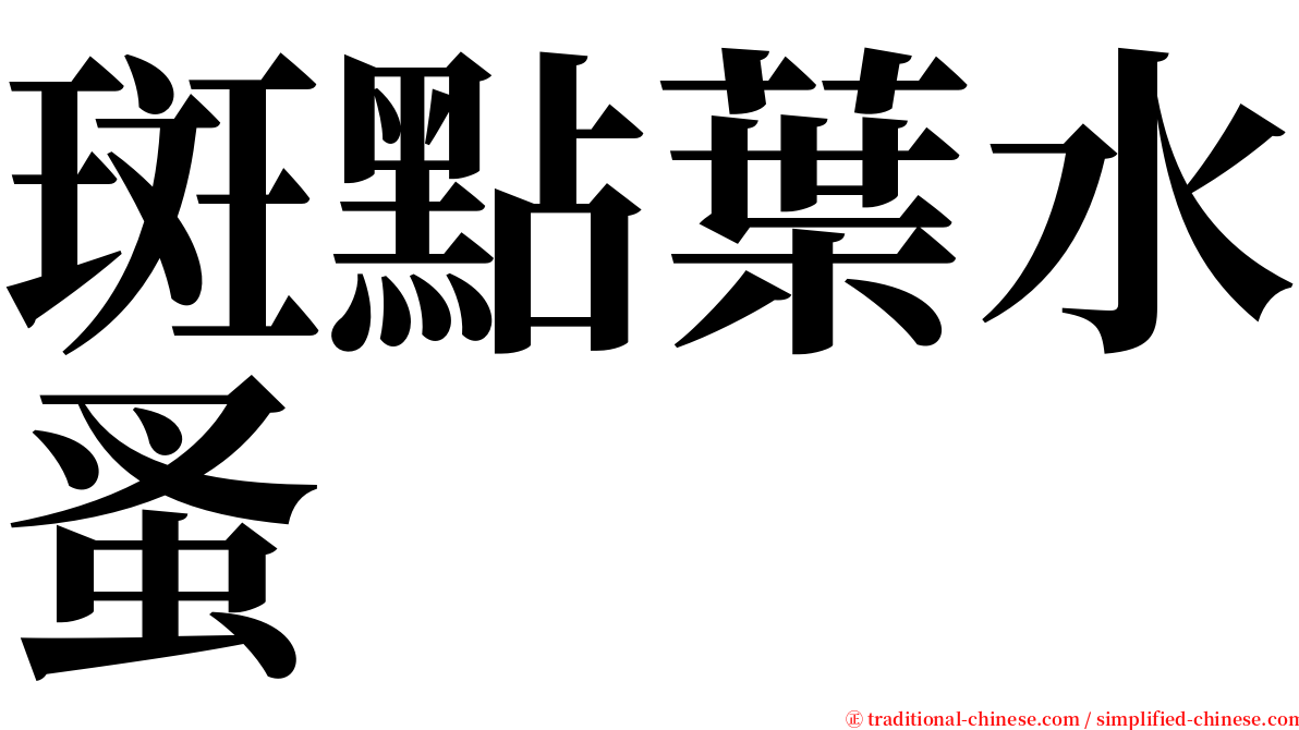 斑點葉水蚤 serif font