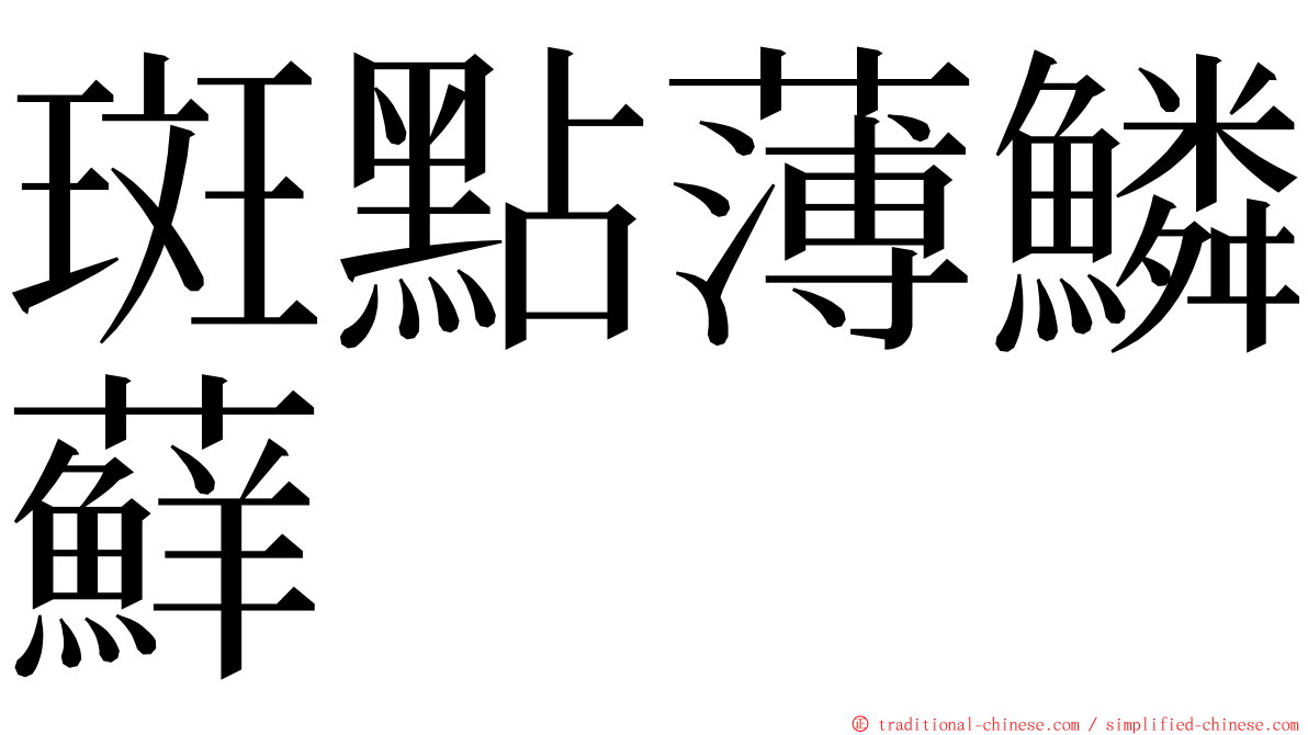 斑點薄鱗蘚 ming font