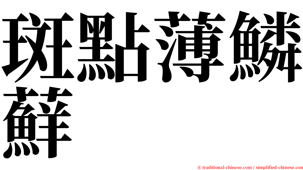 斑點薄鱗蘚 serif font