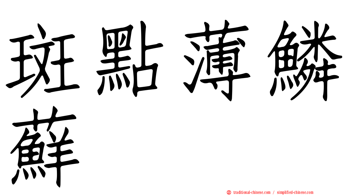 斑點薄鱗蘚