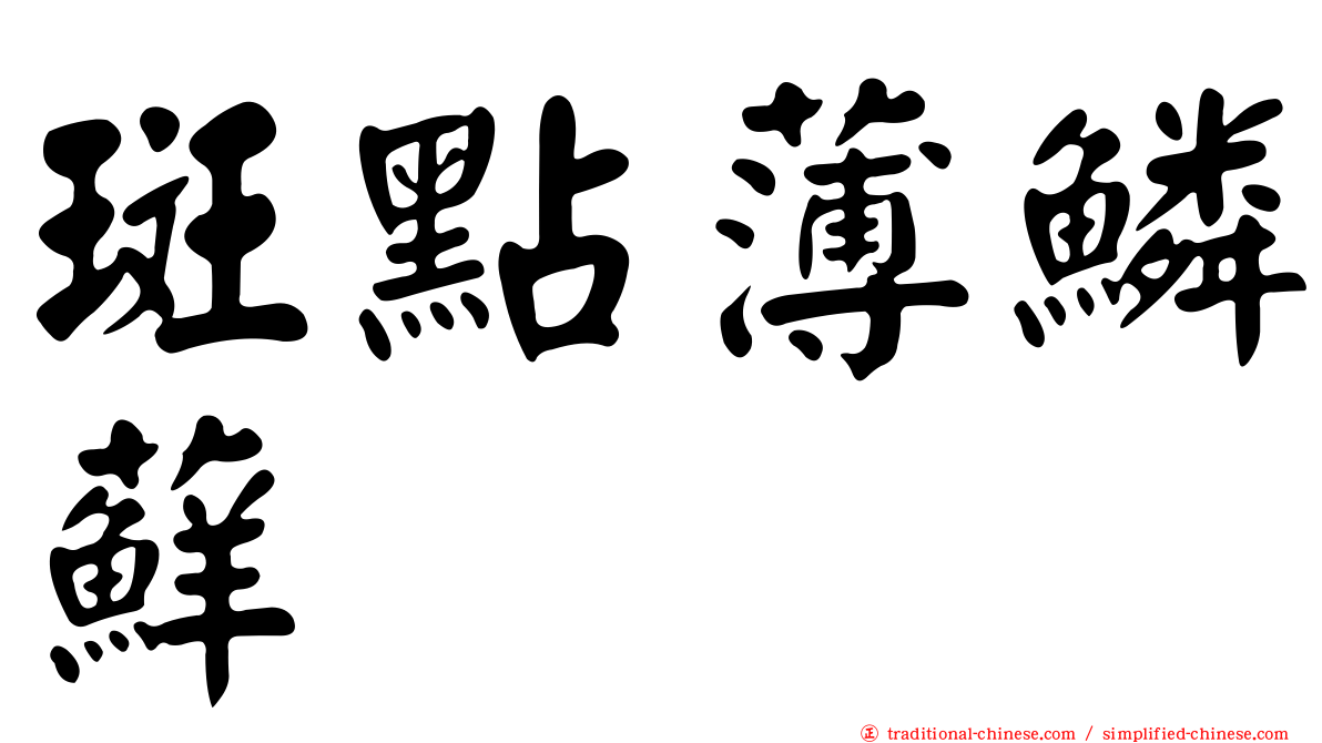 斑點薄鱗蘚