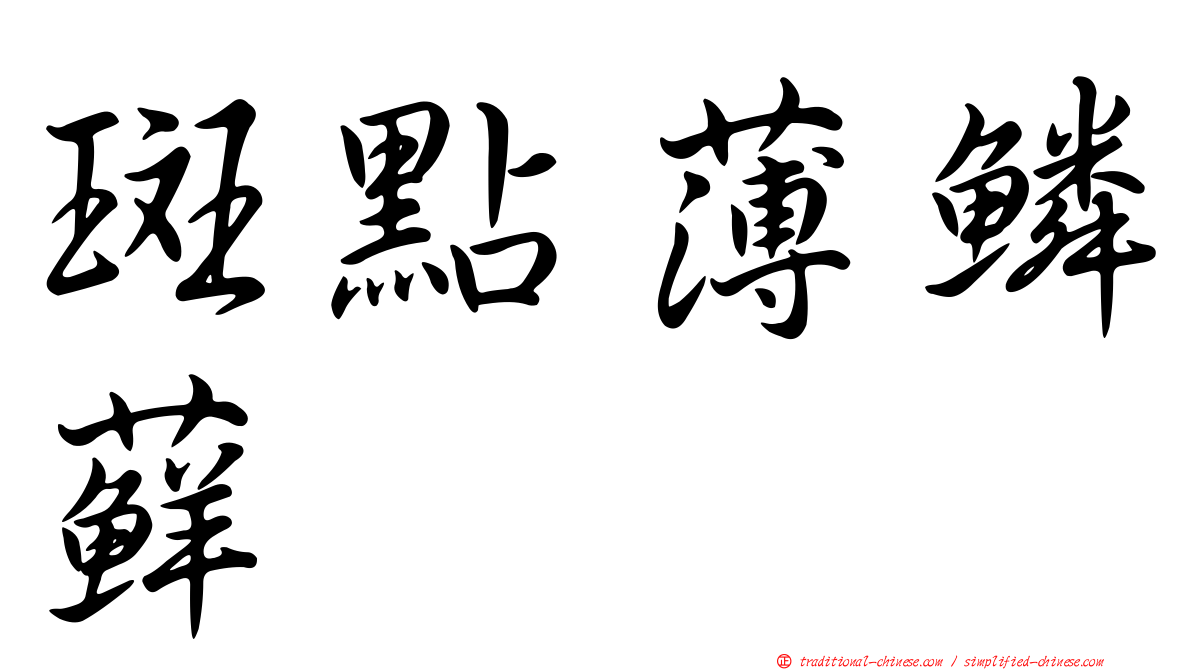 斑點薄鱗蘚