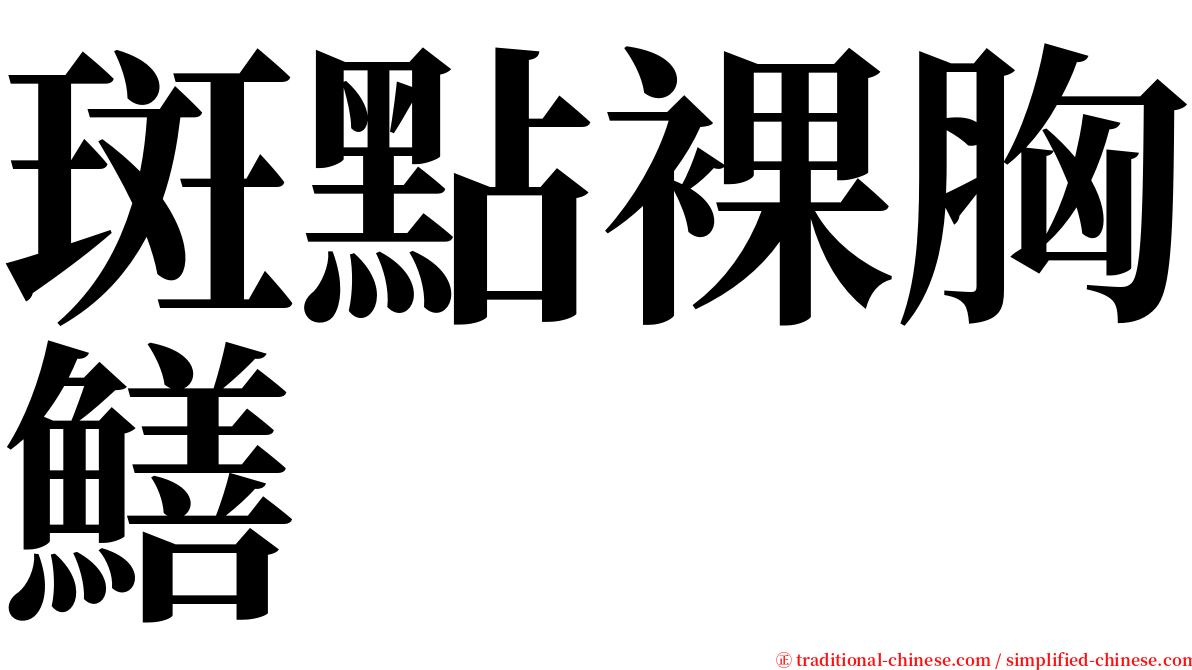 斑點裸胸鱔 serif font