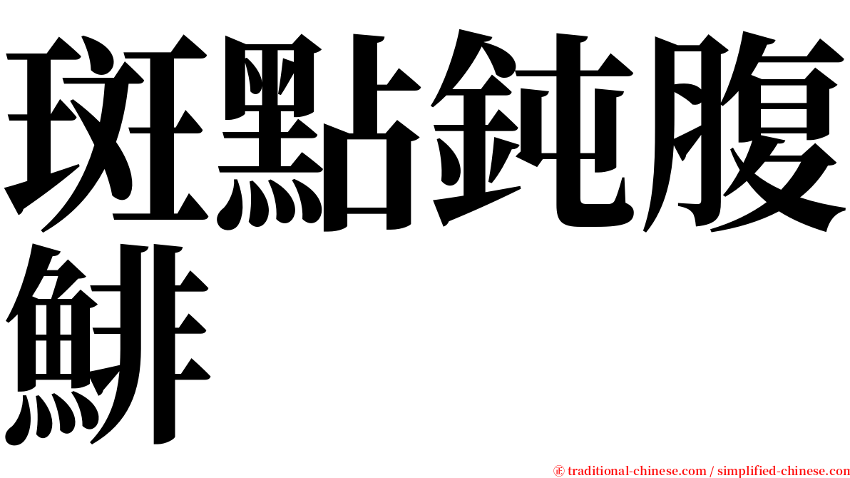 斑點鈍腹鯡 serif font