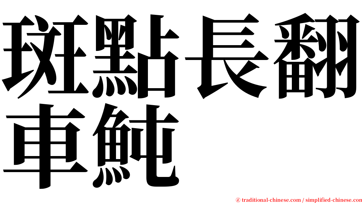 斑點長翻車魨 serif font