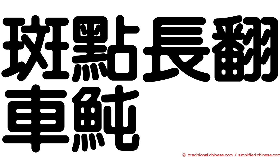 斑點長翻車魨