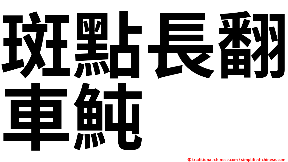 斑點長翻車魨