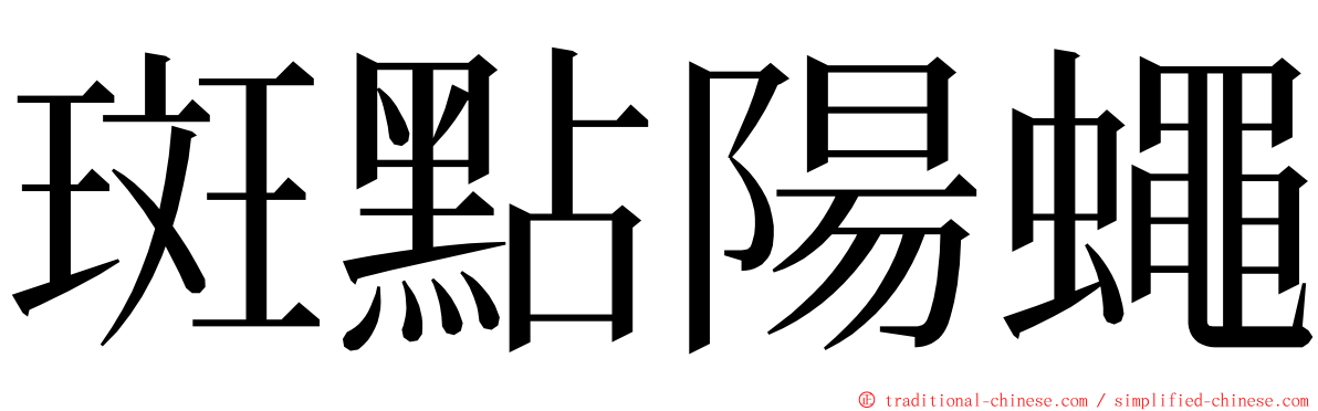 斑點陽蠅 ming font