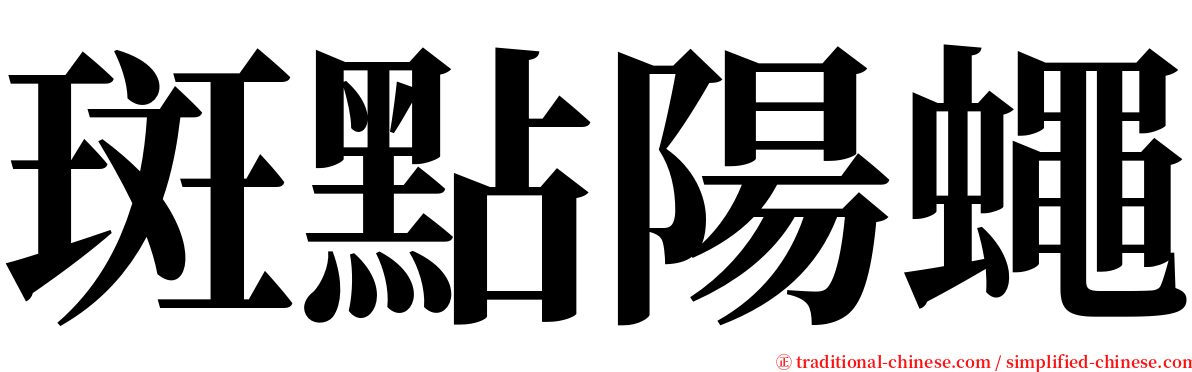 斑點陽蠅 serif font