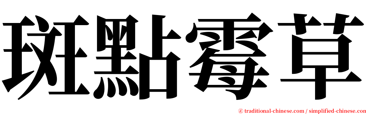 斑點霉草 serif font