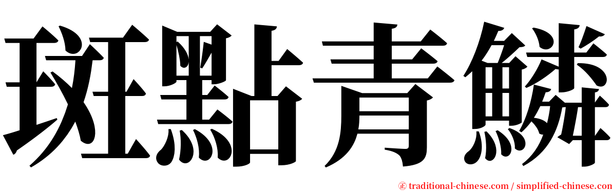 斑點青鱗 serif font