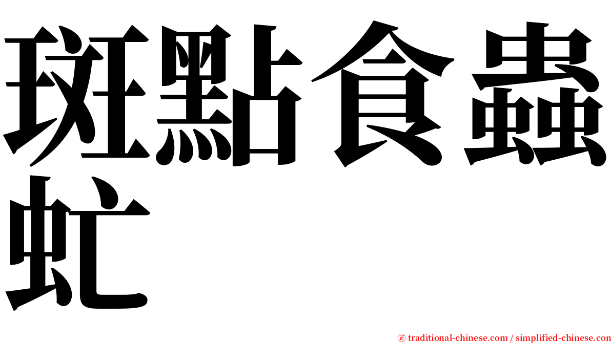 斑點食蟲虻 serif font