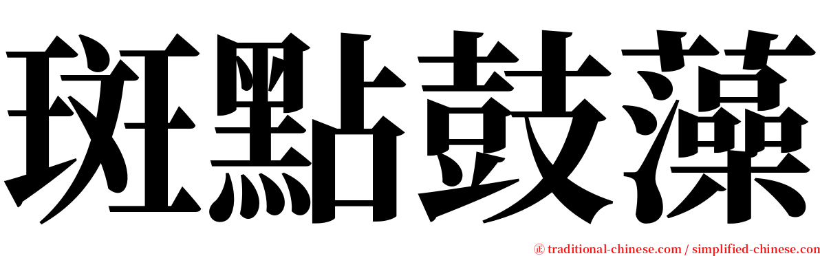 斑點鼓藻 serif font