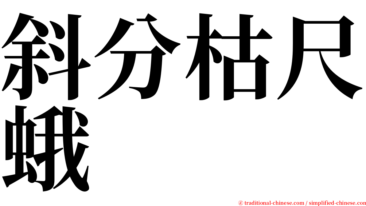 斜分枯尺蛾 serif font