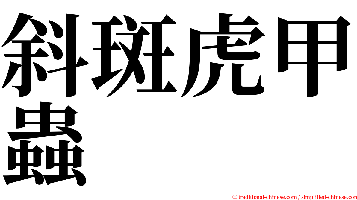 斜斑虎甲蟲 serif font