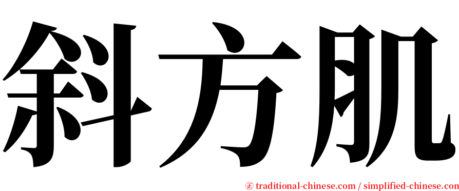 斜方肌 serif font