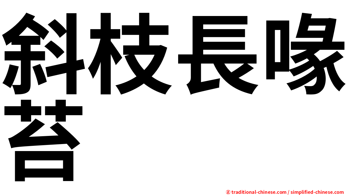 斜枝長喙苔