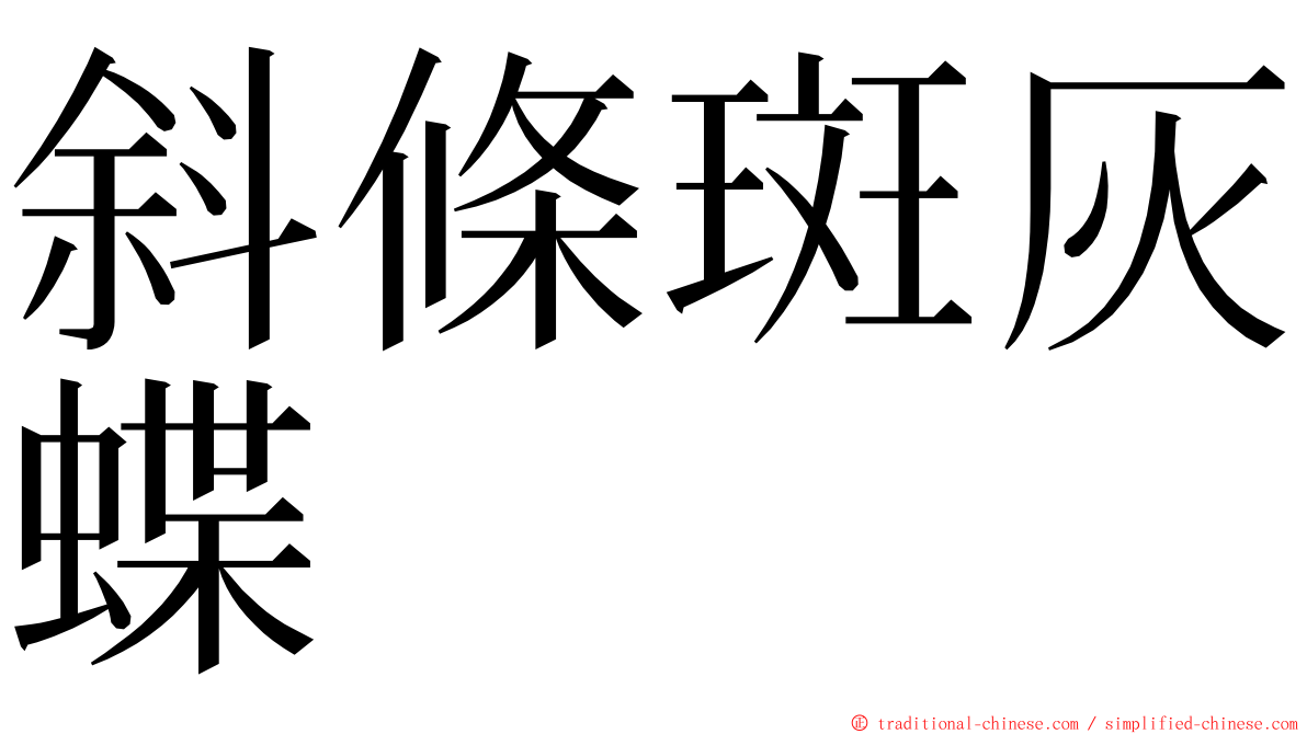 斜條斑灰蝶 ming font