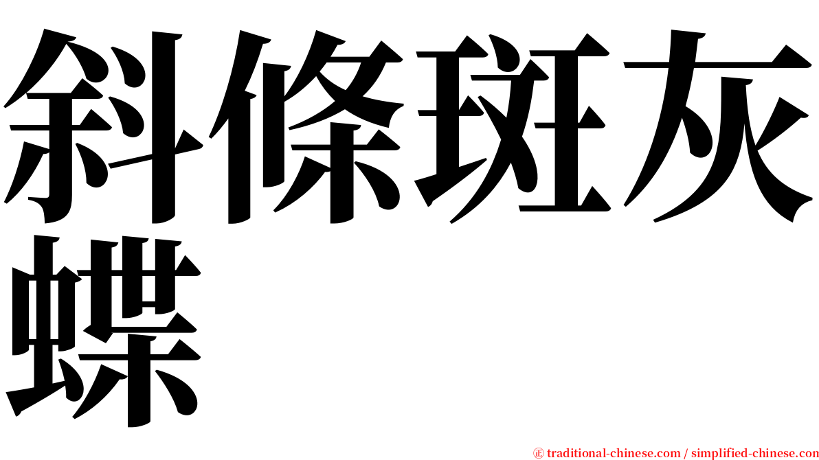 斜條斑灰蝶 serif font