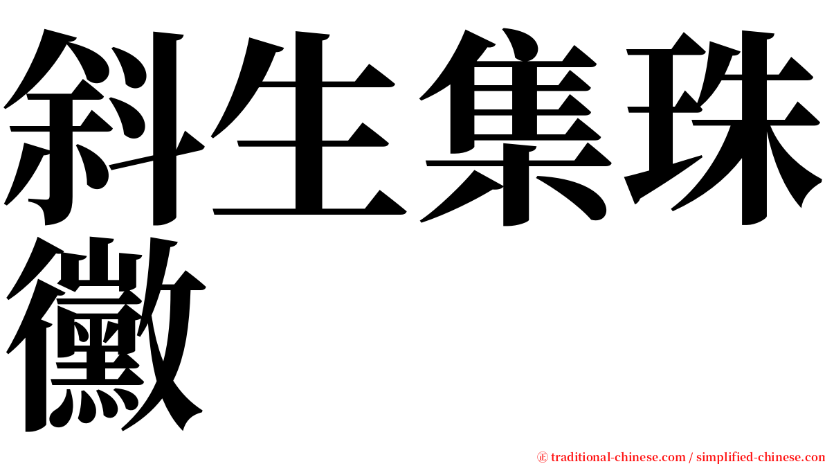 斜生集珠黴 serif font