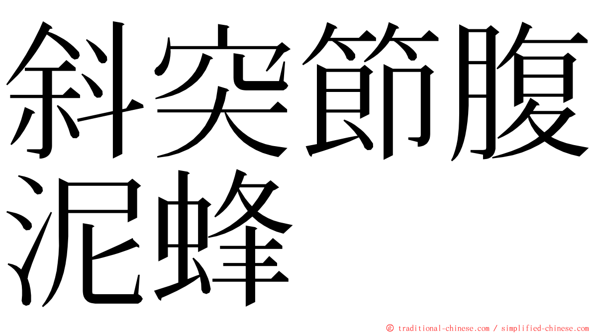 斜突節腹泥蜂 ming font