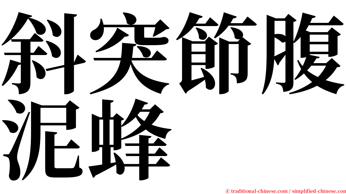 斜突節腹泥蜂 serif font