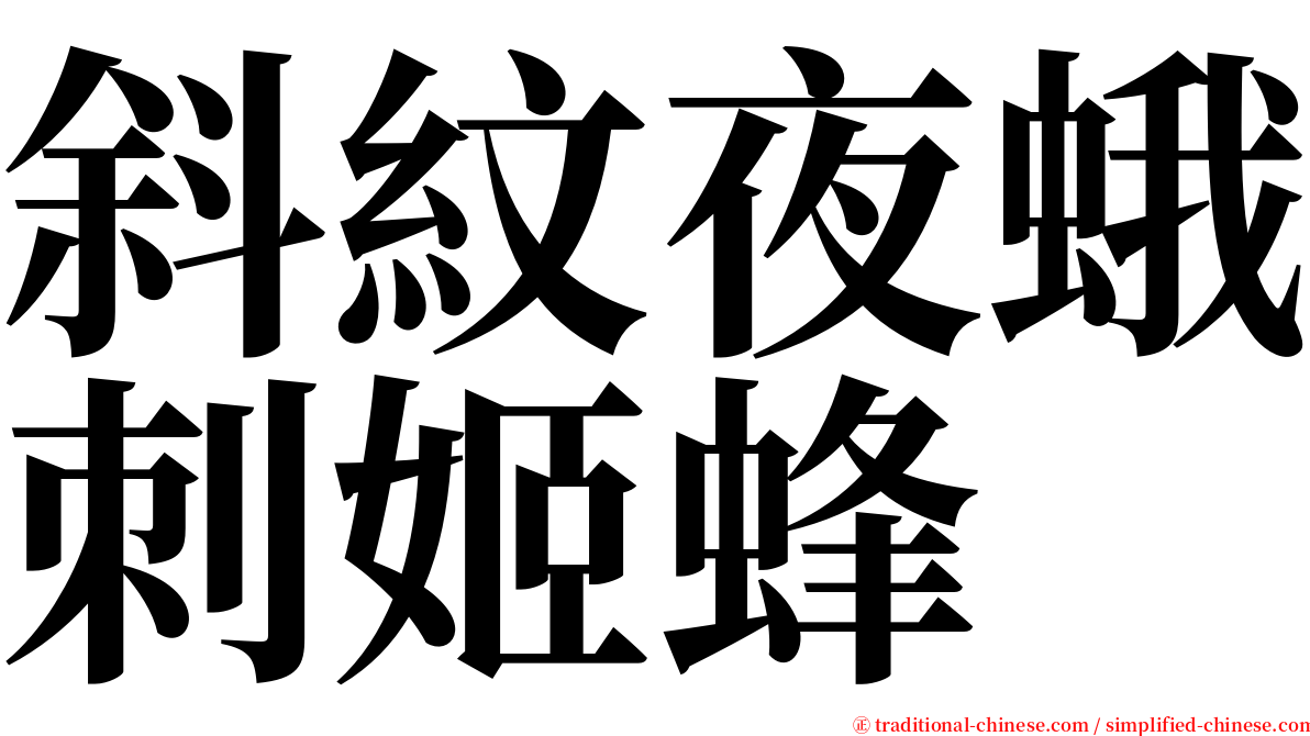 斜紋夜蛾刺姬蜂 serif font