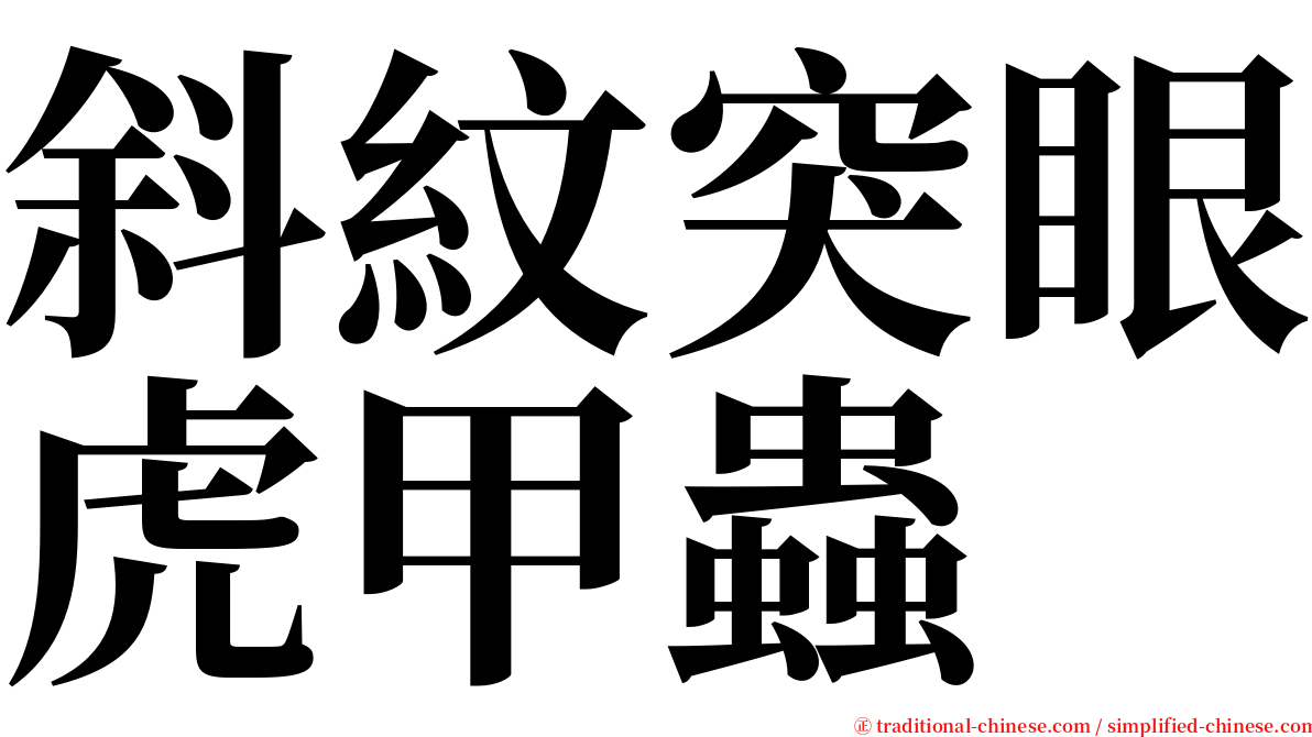 斜紋突眼虎甲蟲 serif font